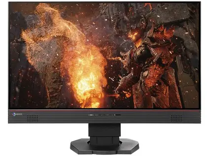 LCD EIZO FS2434-BK