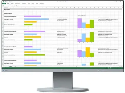 LCD EIZO EV2450-GY
