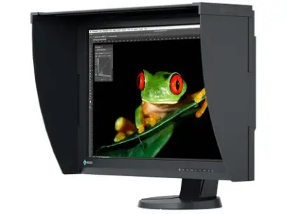 LCD EIZO CG247X